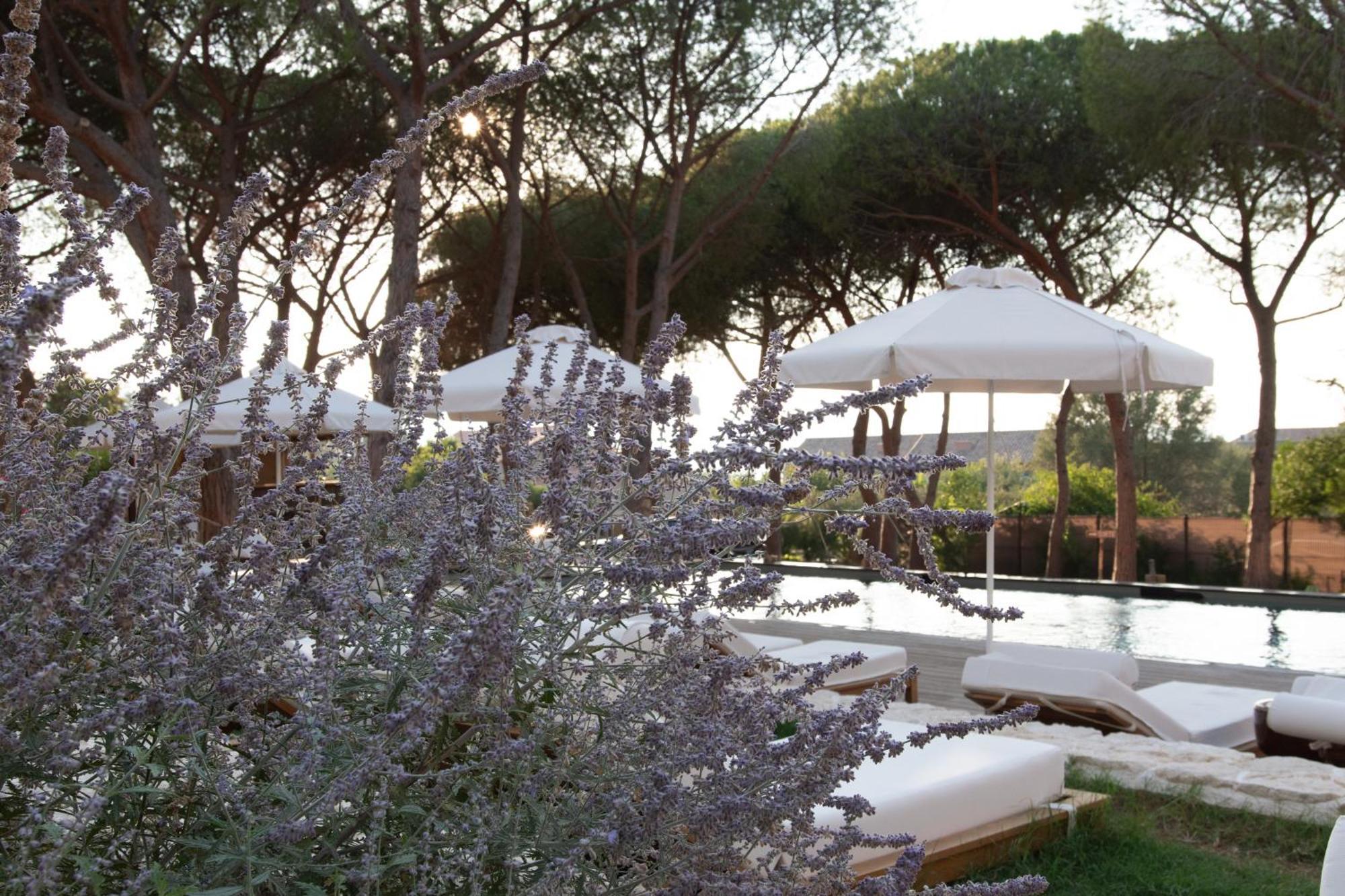 Boutique Hotel Responsable Et Restaurant Basgi Basgi Saint-Florent  Luaran gambar
